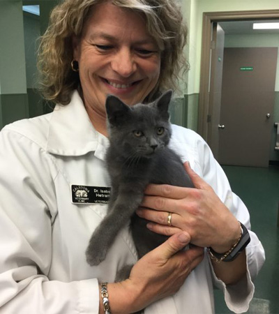 Dr Isabel Hetram holding baby (kitten) Cinder