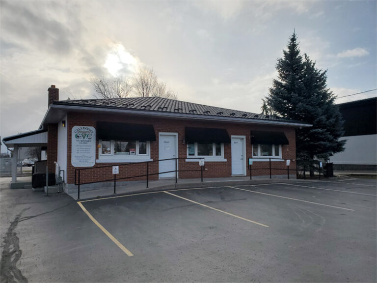 About Us Caledonia Veterinary Clinic